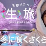 芳根京子、雪の中であふれる笑顔――JR東日本公式YouTube「芳根京子の〈生〉旅」新シリーズ「弘前篇」公開