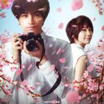 Netflix映画『桜のような僕の恋人』キーアート解禁！永山絢斗・桜井ユキ・若月佑美らの出演発表