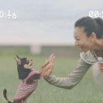 飼い主がいない間にペットが何をしているのか―「ペット」xHonda Dogタイアップ特別映像