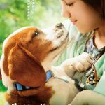 少女と犬が互いを想う眼差しに、幸せな涙の予感・・・！―『僕のワンダフル・ジャーニー』〈ポスター〉解禁