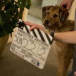 犬のモジョがキャスト陣にインタビュー！？ロビン・ウィリアムズ最後の出演となる特別映像公開！