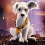 『スーパーガール』クリプトとの出会いを映し出す最新映像公開