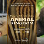 ＜アースデイ＞『Magic of Disney’s Animal Kingdom ディズニー・アニマルキングダムの魔法』シーズン2などの3作品がディズニープラスで独占配信