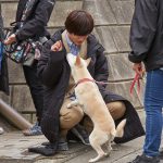 撮影現場のアイドル・愛犬“サクラ”とキャストたちの仲良しショットを公開！―『さくら』〈メイキング写真〉解禁