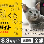 初日舞台挨拶をサポートするアルバイトを募集！―沢尻エリカ×吉沢亮『猫は抱くもの』×「ドリームバイト」アルバイト募集開始