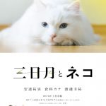 『三日月とネコ』小林聡美・山中崇・石川瑠華ら追加キャスト発表