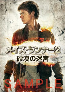 11/7（土）より配布「ニュート」ポストカード