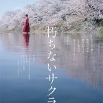 柚月裕子原作『朽ちないサクラ』杉咲花主演で実写映画化