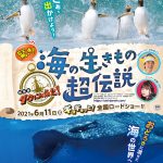 水瀬いのり＆さかなクンが参加！最新技術が解き明かす新たな海の世界！―『驚き！海の生きもの超伝説 劇場版ダーウィンが来た！』6月公開決定