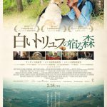 世界中の映画祭で喝采を浴びたドキュメンタリー『白いトリュフの宿る森』来年2月公開決定！津田健次郎がナレーションを務める〈予告編〉解禁