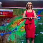 スティーヴン・スピルバーグ最新作『ディスクロージャー・デイ』2026年夏公開決定