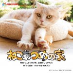 出演猫シナモンの堂々としたグラビアショットも併せて公開！―『ねこあつめの家』主題歌特別MV解禁