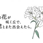 『あの花が咲く丘で、君とまた出会えたら。』興行収入30億円突破　第2弾入場者プレゼントとしてスペシャルメイキングムービーが観られるオリジナルステッカーを配布